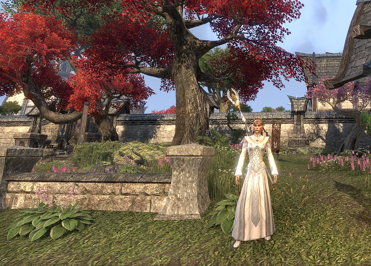 Red-leafed trees landscape